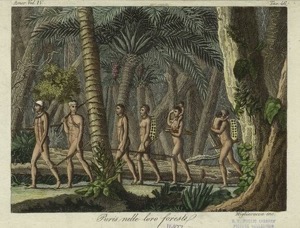 Imagenes wiki puri indians brazil — Anónimo