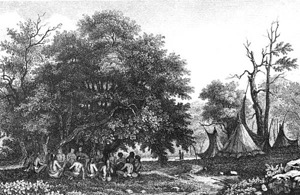 Campamento indígena bajo árboles frondosos — Jacques Le Moyne de Morgues
