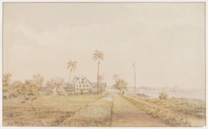 Paisaje tropical con casa y palmeras — Anónimo