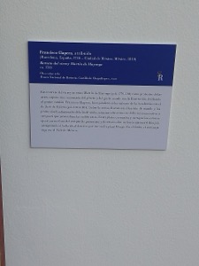 Placa informativa que detalla la obra "la vida de Sor María — Anónimo