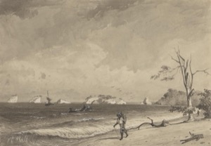 Los gallos icacos bay — Michel Jean Cazabon
