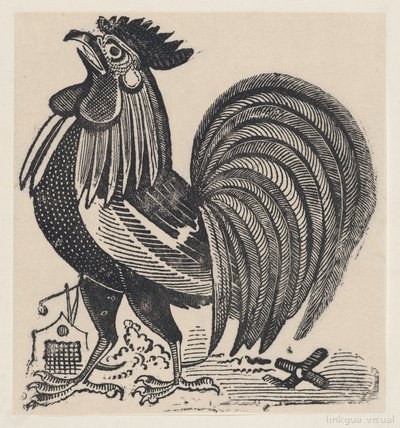 Un gallo