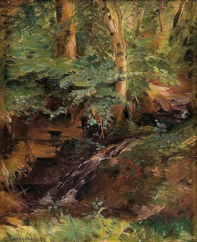 Vila y Prades, lámina — Julio Vila y Prades
