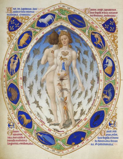Hombre anatómico — Hermanos Limbourg