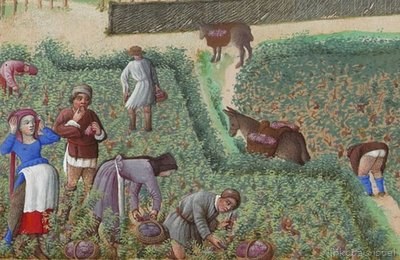 Escena de vendimia Septiembre