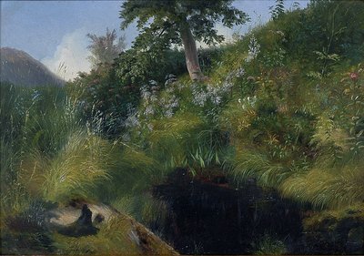 Arroyo entre la vegetación exuberante — Louis Remy Mignot