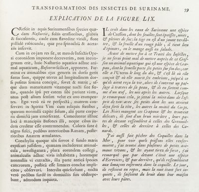 Descripción de la ilustración L0035343 Wellcome L0035344 — María Sybilla Merian