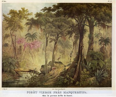Forèt Vierge Près Manqueritipa — Mauricio Rugendas
