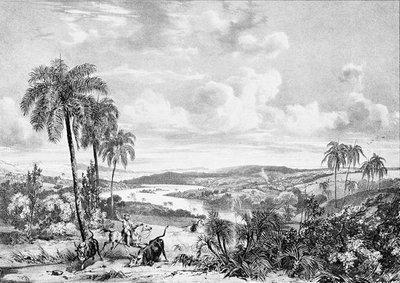 Richard Bonington, Victor Adam - Campos nas margens do rio das Velhas — Mauricio Rugendas