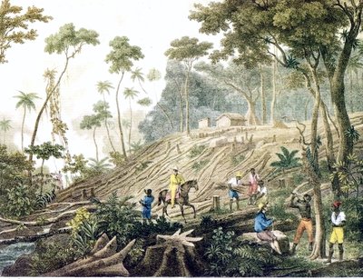 Defrichement D une Foret — Mauricio Rugendas