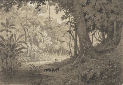 Jean cazabon, nº 2804 — Michel Jean Cazabon