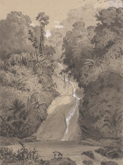St Ann^s Waterfall - B1975.3.314 - Yale Center for British Art — Michel Jean Cazabon