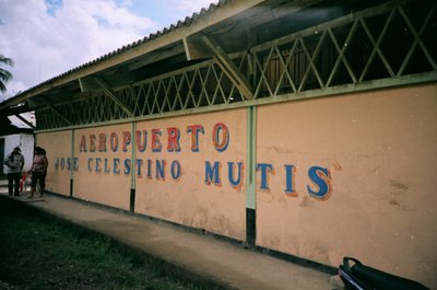 El arcano de la quina — Mutis, lámina — José Celestino Mutis