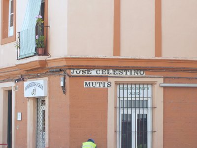 Celestino Mutis en Cádiz — José Celestino Mutis