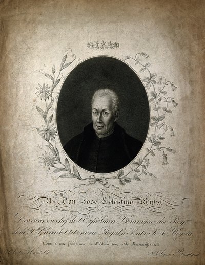 Mutis el arcano de la quina — Anónimo (ilustración botánica colonial)