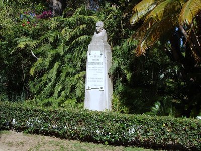 El arcano de la quina — Mutis, lámina — José Celestino Mutis