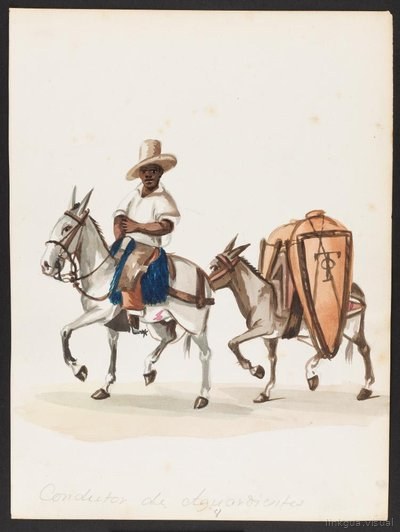 Conductor de aguardientes en mulas