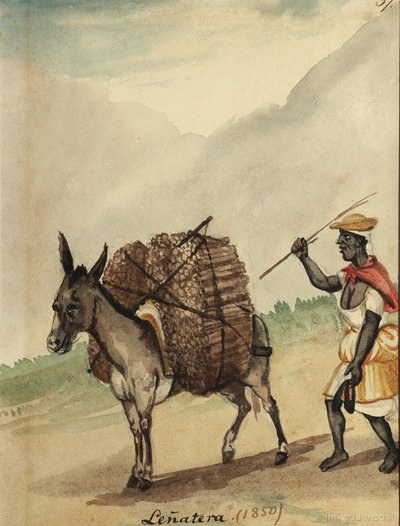 Mujer con burro cargado de leña