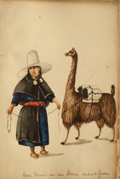 Indígena con llama cargada