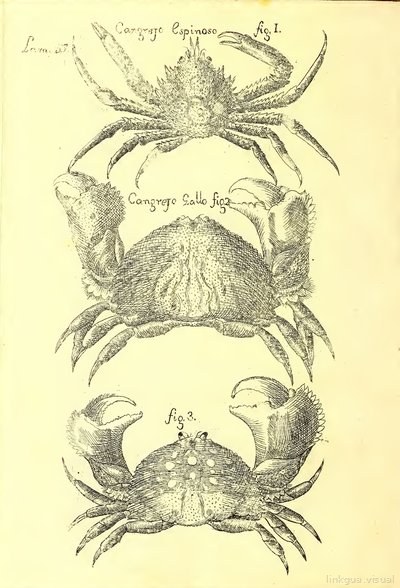 Descripción de diferentes piezas de historia natural, lámina — Antonio Parra