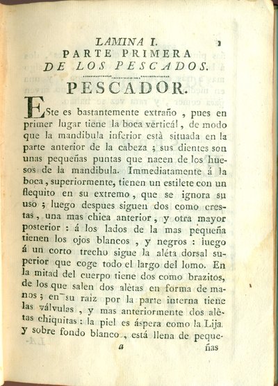 Descripción de diferentes piezas de historia natural, lámina — Antonio Parra