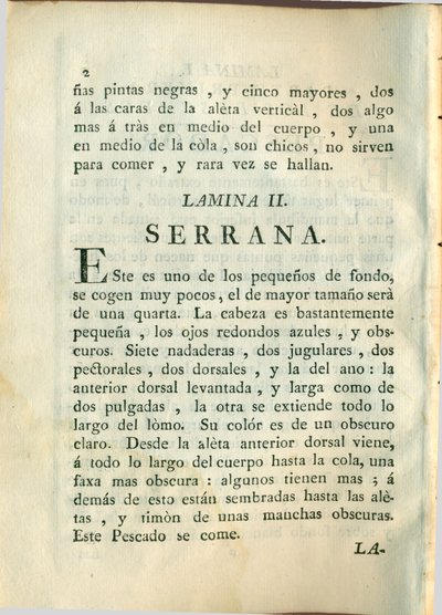 Descripción de diferentes piezas de historia natural, lámina — Antonio Parra