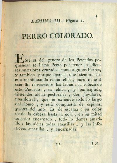 Descripción de diferentes piezas de historia natural, lámina — Antonio Parra