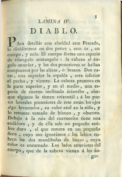 Descripción de diferentes piezas de historia natural, lámina — Antonio Parra