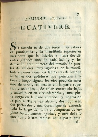 Descripción de diferentes piezas de historia natural, lámina 4884
