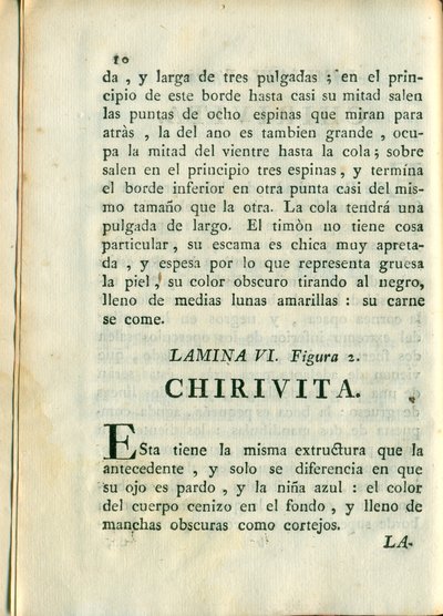Descripción de diferentes piezas de historia natural, lámina — Antonio Parra