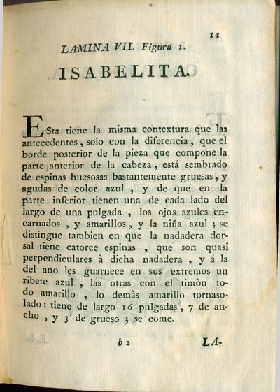 Descripción de diferentes piezas de historia natural, lámina — Antonio Parra
