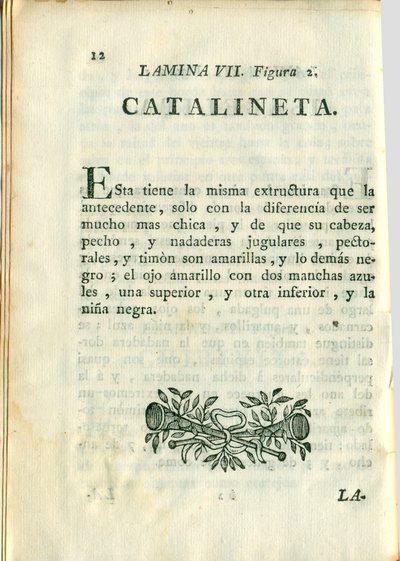 Descripción de diferentes piezas de historia natural, lámina — Antonio Parra