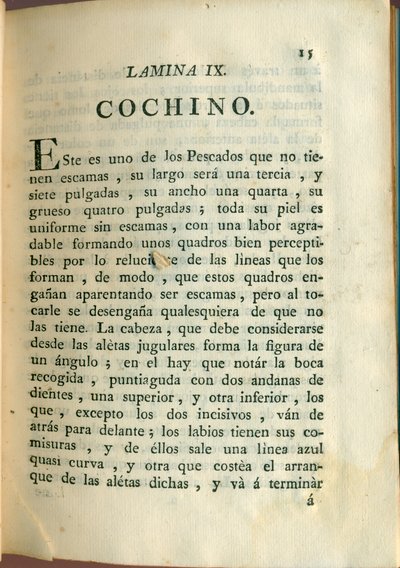 Descripción de diferentes piezas de historia natural, lámina — Antonio Parra