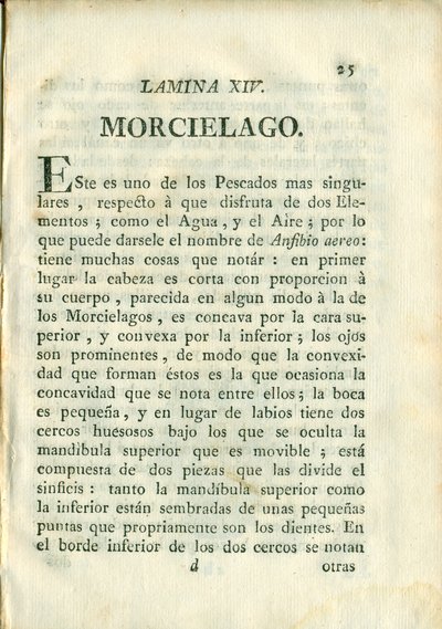 Descripción de diferentes piezas de historia natural, lámina — Antonio Parra