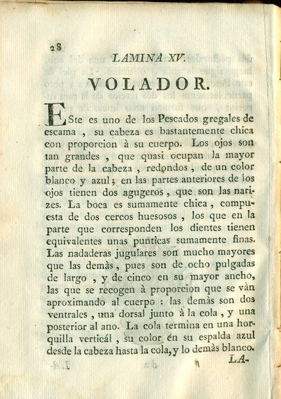Descripción de diferentes piezas de historia natural, lámina — Antonio Parra