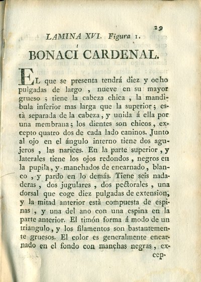 Descripción de diferentes piezas de historia natural, lámina — Antonio Parra