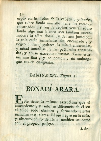 Descripción de diferentes piezas de historia natural, lámina — Antonio Parra