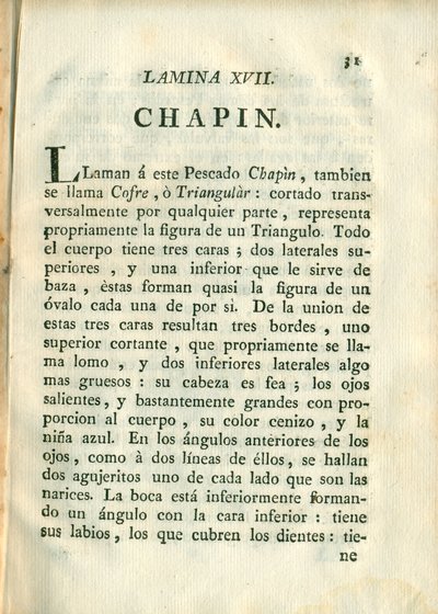 Descripción de diferentes piezas de historia natural, lámina 4908