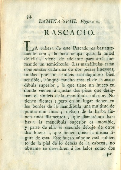 Descripción de diferentes piezas de historia natural, lámina — Antonio Parra