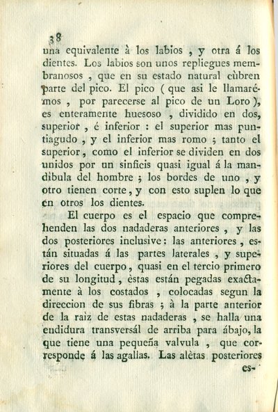 Descripción de diferentes piezas de historia natural, lámina — Antonio Parra