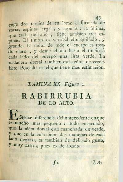 Descripción de diferentes piezas de historia natural, lámina — Antonio Parra