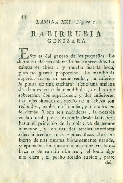 Descripción de diferentes piezas de historia natural, lámina 4921