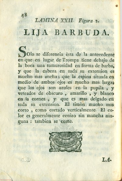 Descripción de diferentes piezas de historia natural, lámina — Antonio Parra