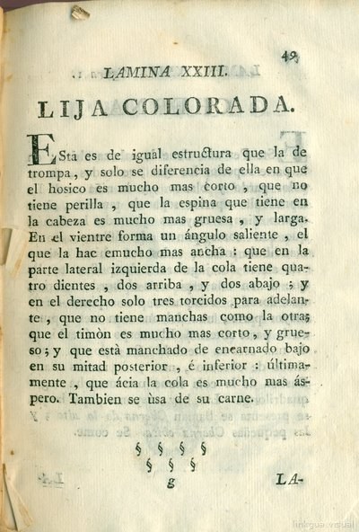 Descripción de diferentes piezas de historia natural, lámina 4926