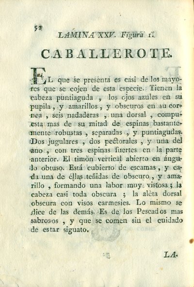 Descripción de diferentes piezas de historia natural, lámina — Antonio Parra