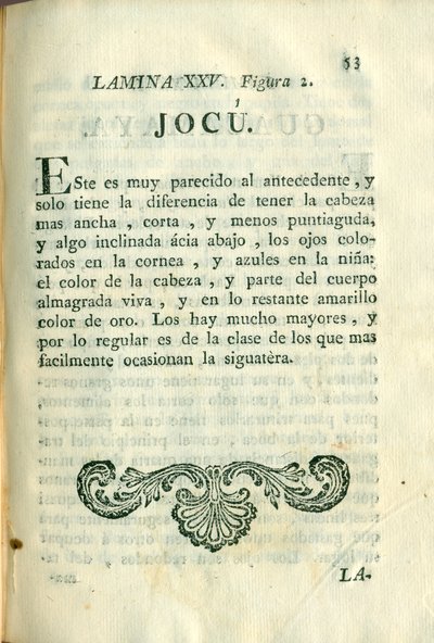 Descripción de diferentes piezas de historia natural, lámina 4930