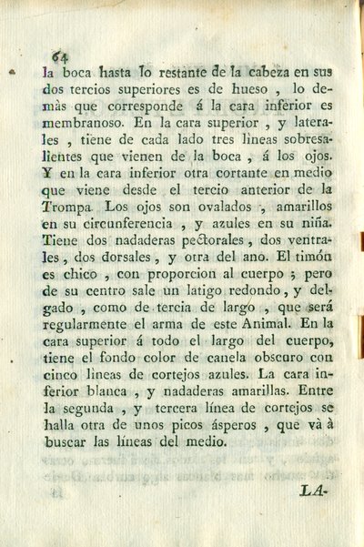 Descripción de diferentes piezas de historia natural, lámina — Antonio Parra