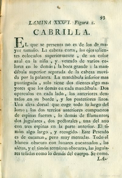 Descripción de diferentes piezas de historia natural, lámina 4970