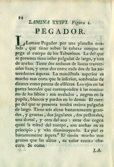 Descripción de diferentes piezas de historia natural, lámina — Antonio Parra