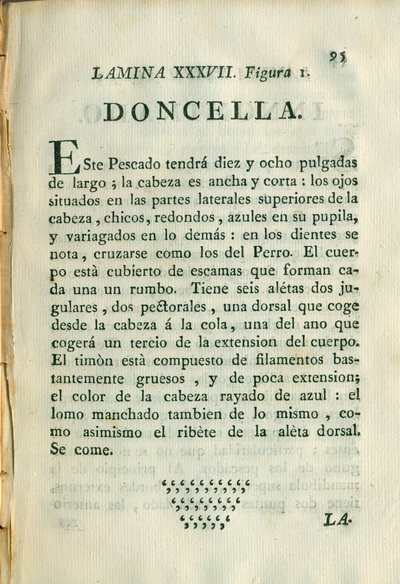Descripción de diferentes piezas de historia natural, lámina — Antonio Parra